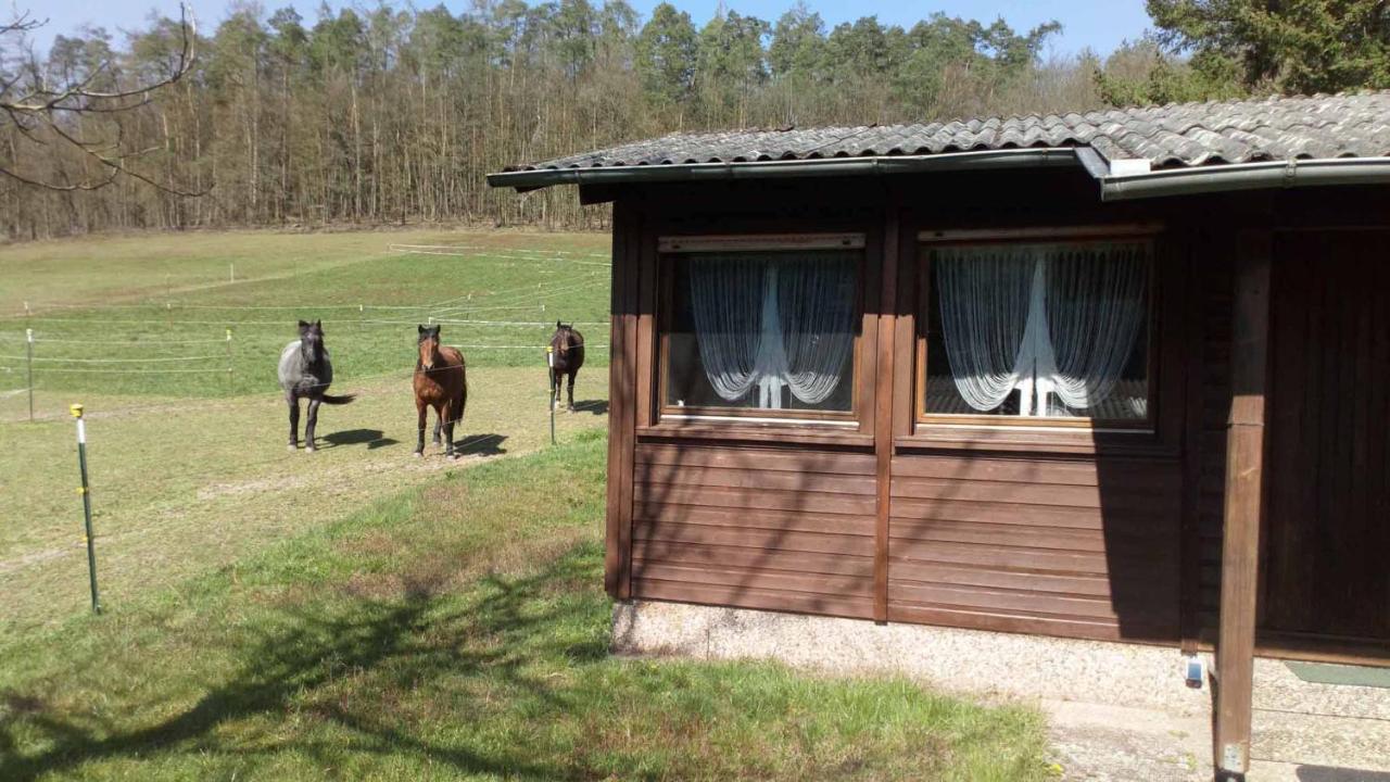Reitstation Rossmuehle Lejlighed Gräfendorf Eksteriør billede